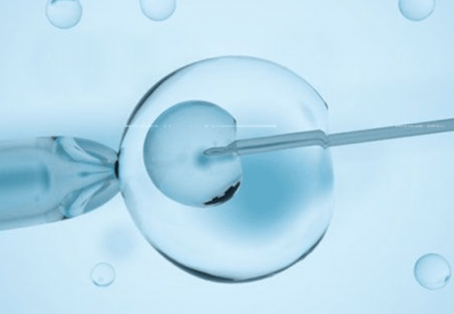 热议！代母的身体要求＂肉中刺＂