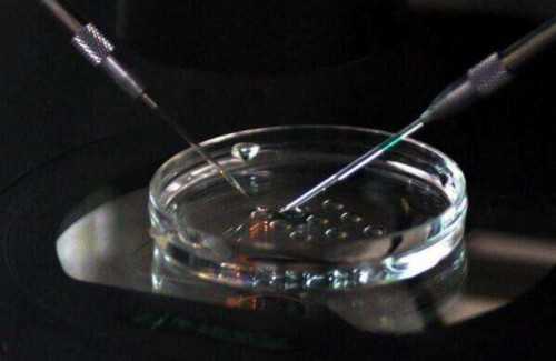 揭秘！海口供卵代生子＂紧箍咒＂