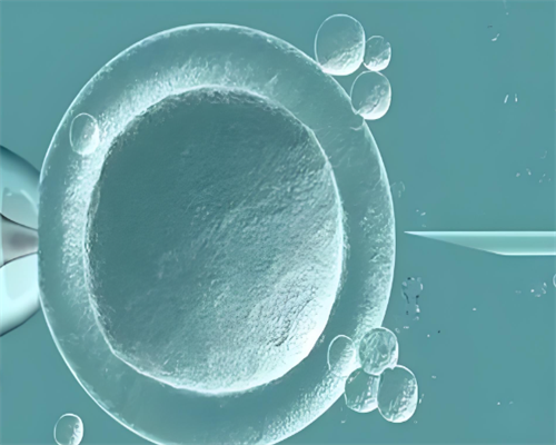 60岁做试管的盛海琳如今如何？60岁产妇盛海琳现状-助孕中介