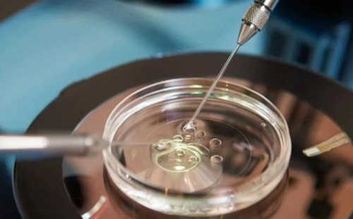 备孕要准备些什么