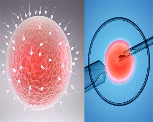 促排卵后卵泡都会破吗？促排后卵泡多怎么办？