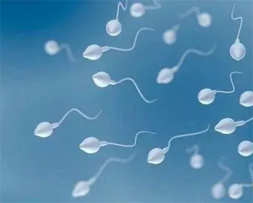 猪脚姜的做法_猪脚姜的营养价值_猪脚姜怎么做好吃-供卵代生机构