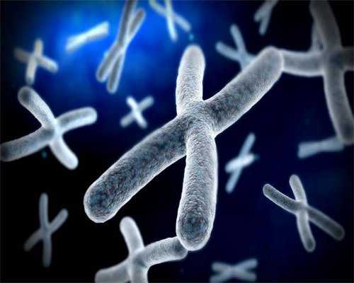 孕妇怀孕初期可以吃羊肉吗，孕妇饮食注意事项孕妇怀孕初期可以吃羊肉吗-专业代生医院