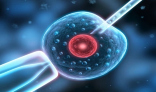 三代试管移植14天hcg多少？试管14天血值3000好不好？