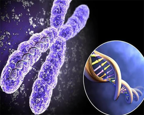 南京哪个医院看不孕不育最好？省人民还是妇幼？