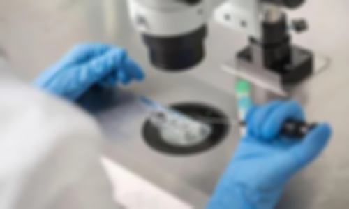 来了！天津供卵是什么意思＂衣锦夜行＂