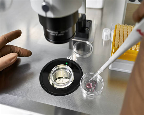 市面常见的10大保胎药，孕妈们能认识几个呢？