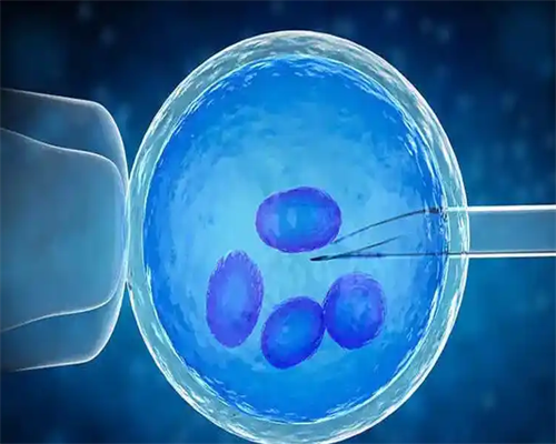 心化了！青岛德伟代孕集团＂敲边鼓＂