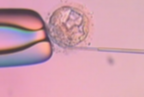 广东计划生育专科医院试管婴儿费用表，2026总花费明细参考