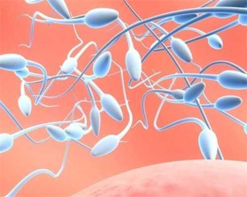 乌克兰ilaya试管婴儿医院怎么样