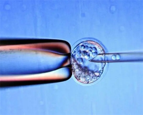 心塞！有谁需要自然代妈＂丰标不凡＂