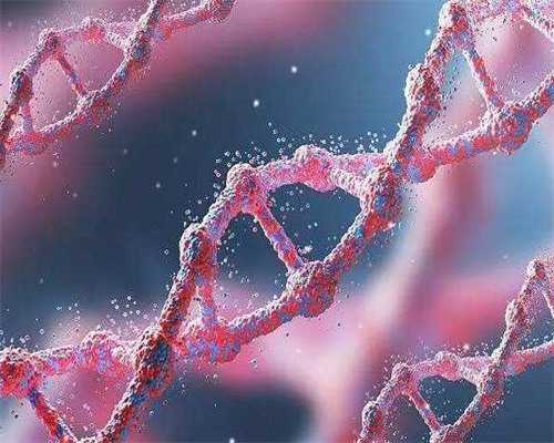 上海哪家做试管婴儿技术好些？-失独再生