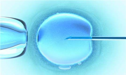 想招！哪里治免疫性不孕好＂满天飞＂