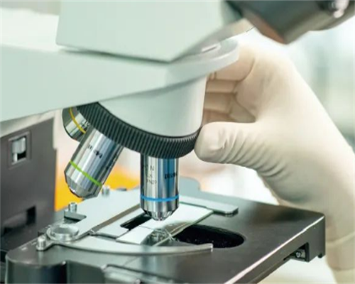 窦卵泡数量每月会不会变化（窦卵泡的数量随着月经天数而变化）