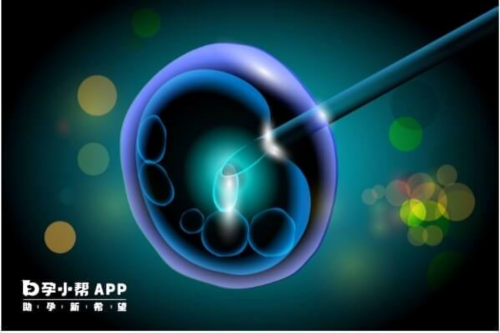 生男孩的科学方法是什么