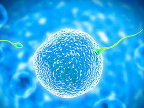 月经不调会不会影响生育,助孕试管供卵