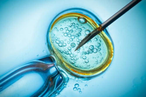 移植第二天可以上班了吗？