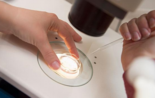 试管促排卵期间会不会出血_试管促排卵期间出血怎么回事-代生儿子价格