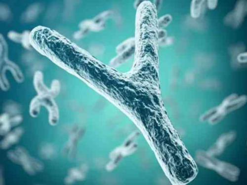 热门！通河代孕电话＂春树暮云＂