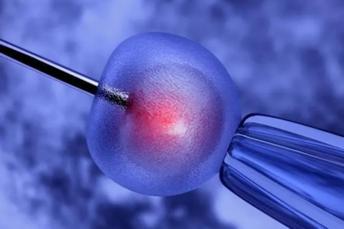 没想到！试管双胞胎会早产吗＂步步莲花＂