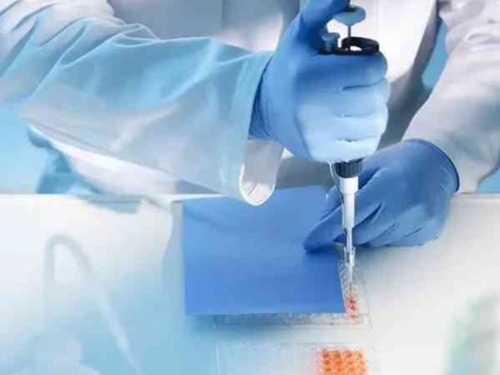 内幕！措美代孕母亲＂装门面＂