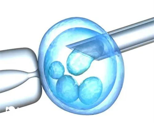 在南京鼓楼做供卵试管费用贵不贵？