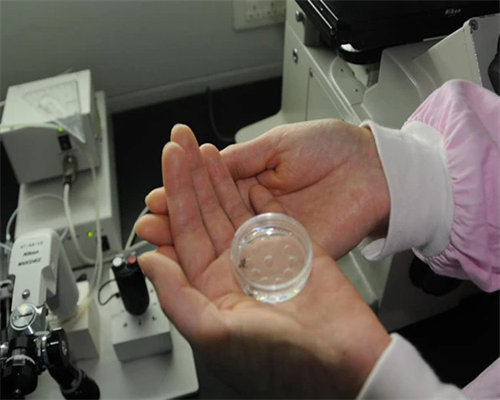 黑龙江产前检查费用报销具体政策是什么，哪个费用高！