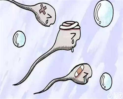 【做试管婴儿身体要求】助孕侠科普男女双方做试管婴儿身体要求