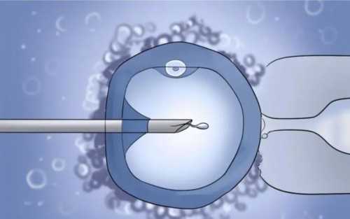 试管促排取了11个卵泡最后配了2个胚胎正常吗？