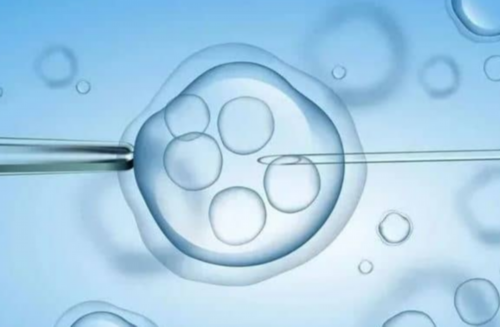 上海做第三代试管要准备多少钱？2026试管费用公布