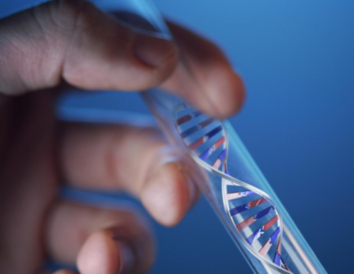 <strong>四维彩超如何判断性别,供卵助孕机构</strong>