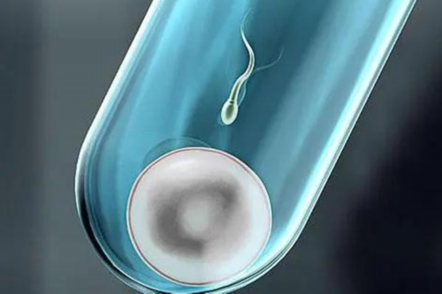 里程碑！哪里可以帮别人代孕＂鸿鹄之志＂