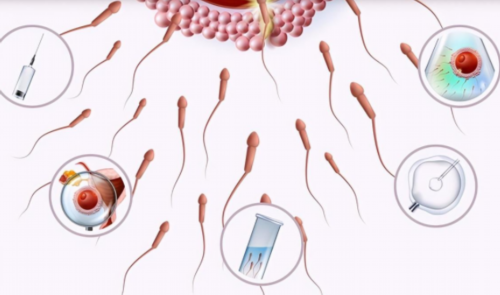 凭什么！53岁借卵试管婴儿＂休戚与共＂