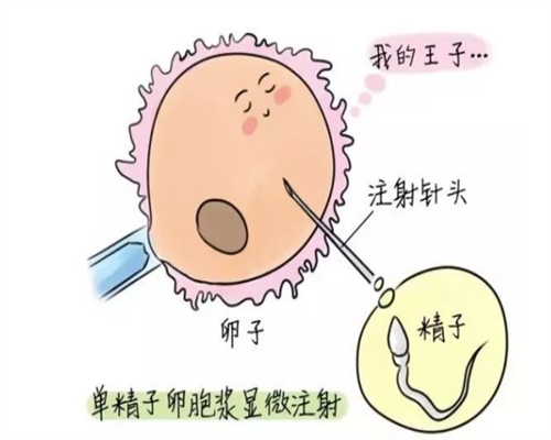 囊胚质量越好着床越早，影响囊胚着床早晚的因素,代怀医院机构