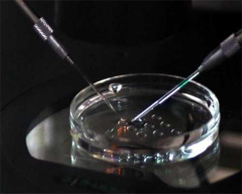 营养不能乱补！这几类人一定要注意，千万别食用鸡血汤