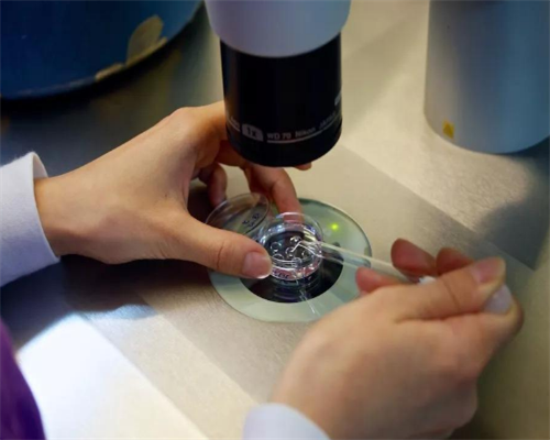 怀孕17周可以吃氯雷他定吗-代生微信