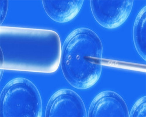 促排期间帮助卵泡发育的秘诀有哪些？促排期间怎么可以提高卵泡质量？,捐卵机构服务