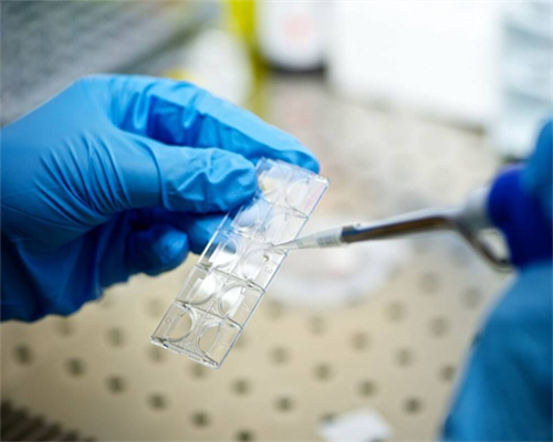 如何降低做试管婴儿的费用