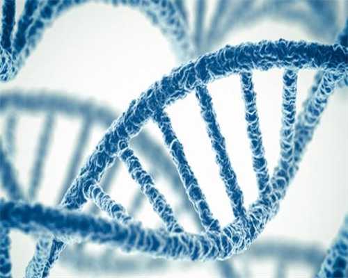 试管婴儿移植二超后停药了-专业助孕公司