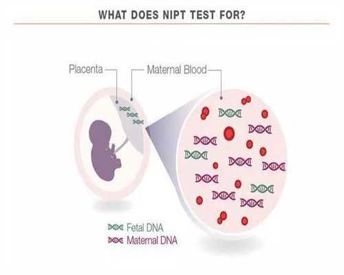唏嘘！乌克兰代怀孕好吗＂风轻云净＂