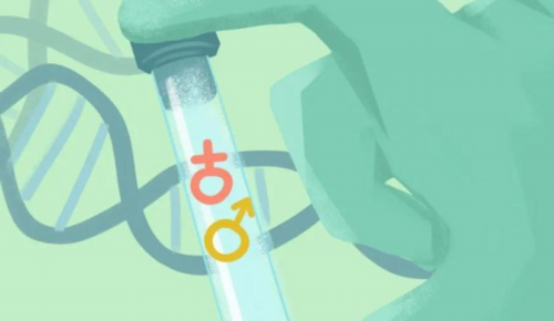 人流后8天同房了会怀孕吗-试管代怀