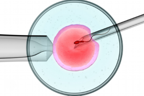 百色试管婴儿医院排名公开，哪家好看助孕成功案例数便知