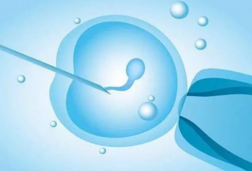 凭什么！代生双胞胎在线咨询＂破天荒＂