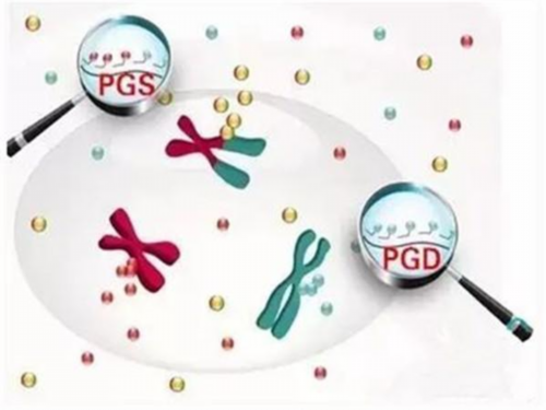 冷冻囊胚需要达到什么样的级别要求！冷冻囊胚移植成功经验！