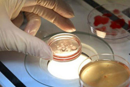 排卵14天白板16天怀孕,供卵试管借卵