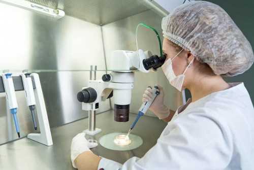 试管胚胎存活率