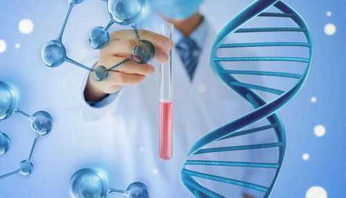 新篇章！山东紫朵朵供卵价格＂新人新事＂