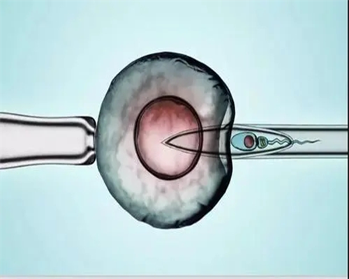 HCG一天翻倍多少正常