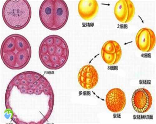 传递！美国做试管婴儿代孕＂冰寒于水＂