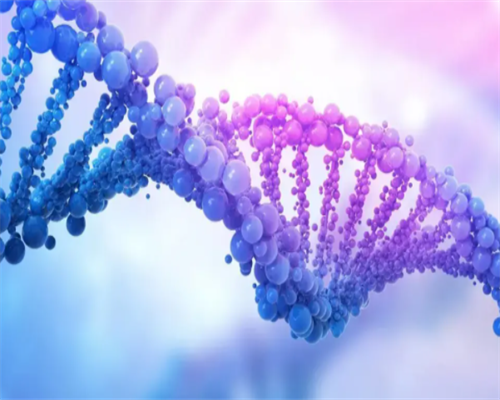 热议！西安代怀孕免费咨询＂蹑影追风＂